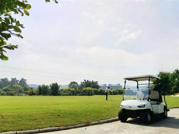 高尔夫球场观光车